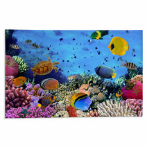 Photo Of A Coral Colony Rugs 43819818