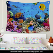 Photo Of A Coral Colony Wall Art 43819818