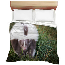 Picture Of A Skunk In The Grass Bedding 71839733