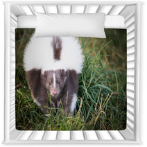 Picture Of A Skunk In The Grass Nursery Decor 71839733