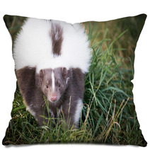 Picture Of A Skunk In The Grass Pillows 71839733