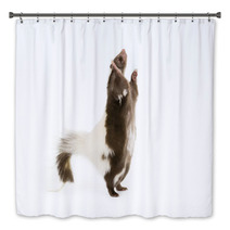 Picture Of A Skunk Standing On Its Hind Legs Bath Decor 71839740
