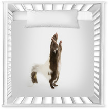 Picture Of A Skunk Standing On Its Hind Legs Nursery Decor 71839740