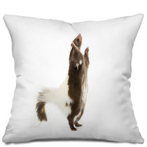 Picture Of A Skunk Standing On Its Hind Legs Pillows 71839740