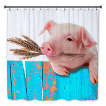 Pig Chews Natural Food. Ears Of Wheat. Comic Collage Bath Decor 57453992