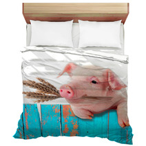 Pig Chews Natural Food. Ears Of Wheat. Comic Collage Bedding 57453992