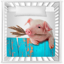 Pig Chews Natural Food. Ears Of Wheat. Comic Collage Nursery Decor 57453992