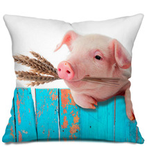 Pig Chews Natural Food. Ears Of Wheat. Comic Collage Pillows 57453992