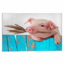 Pig Chews Natural Food. Ears Of Wheat. Comic Collage Rugs 57453992