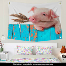 Pig Chews Natural Food. Ears Of Wheat. Comic Collage Wall Art 57453992