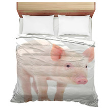 Pig On White Background Bedding 69642828
