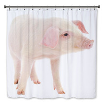 Pig On White Bath Decor 63357920