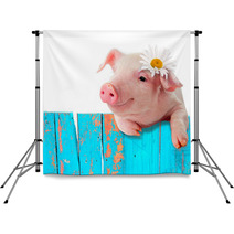 Piglet Leaning On The Fence. Bright, A Comic Collage Backdrops 56707569
