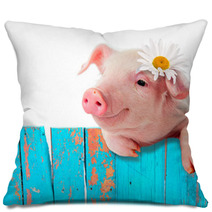 Piglet Leaning On The Fence. Bright, A Comic Collage Pillows 56707569