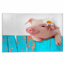 Piglet Leaning On The Fence. Bright, A Comic Collage Rugs 56707569