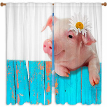 Piglet Leaning On The Fence. Bright, A Comic Collage Window Curtains 56707569
