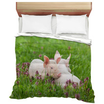 Piglets On Grass Bedding 74692431