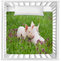 Piglets On Grass Nursery Decor 74692431