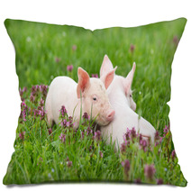 Piglets On Grass Pillows 74692431