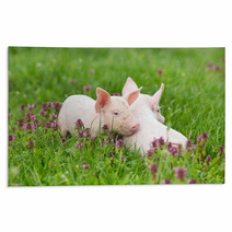 Piglets On Grass Rugs 74692431