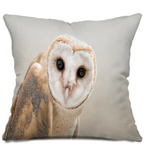 Owl Pillows 103314895