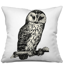 Owl Pillows 125298162