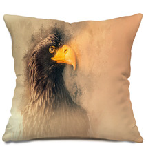 Eagle Pillows 162647007