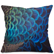 Peacock Pillows 166860729