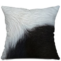 Contemporary Pillows 210534835