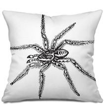 Spider Pillows 39065839