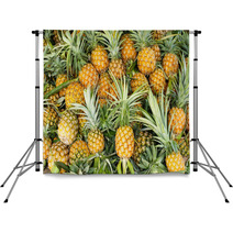 Pineapple Tropical Fruit Backdrops 64241145