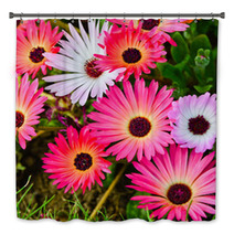 Pink And White Daisy Flowers Outdoor Bath Decor 53974586
