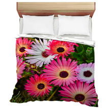 Pink And White Daisy Flowers Outdoor Bedding 53974586