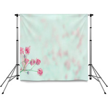 Pink Baby's Breath Flowers With Copy Space Backdrops 52701032