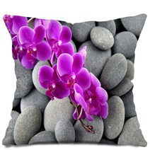 Pink Branch Orchid On The Gray Pebbles Pillows 62553606