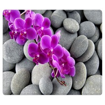 Pink Branch Orchid On The Gray Pebbles Rugs 62553606
