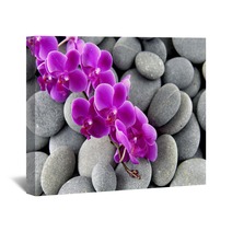 Pink Branch Orchid On The Gray Pebbles Wall Art 62553606