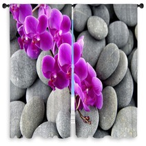 Pink Branch Orchid On The Gray Pebbles Window Curtains 62553606