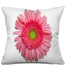 Pink Gerber Daisy Pillows 55958012
