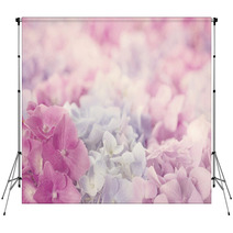 Pink Hydrangea Flowers Backdrops 58642487