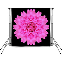 Pink Mandala Flower Kaleidoscope Isolated On Black Backdrops 65035918