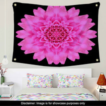 Pink Mandala Flower Kaleidoscope Isolated On Black Wall Art 65035918