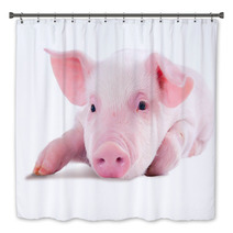 Pink Pig In Lying On His Stomach. Isolated On White Background Bath Decor 62246981