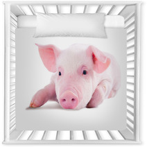 Pink Pig In Lying On His Stomach. Isolated On White Background Nursery Decor 62246981