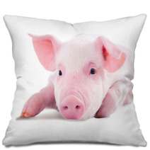 Pink Pig In Lying On His Stomach. Isolated On White Background Pillows 62246981