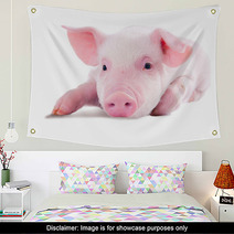 Pink Pig In Lying On His Stomach. Isolated On White Background Wall Art 62246981