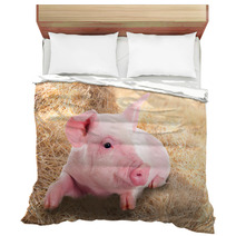 Pink Piggy Lying In Dry Straw. Bedding 62247026