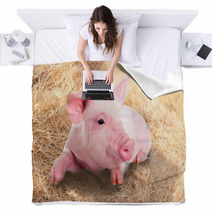 Pink Piggy Lying In Dry Straw. Blankets 62247026
