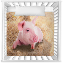 Pink Piggy Lying In Dry Straw. Nursery Decor 62247026