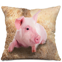 Pink Piggy Lying In Dry Straw. Pillows 62247026